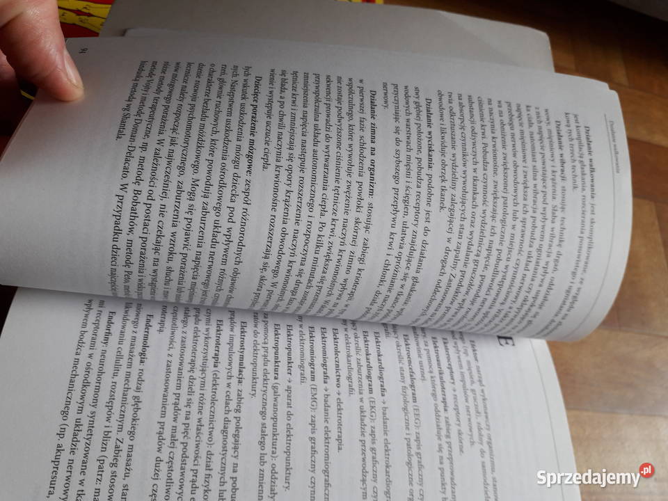 Leksykon masażu Częstochowa