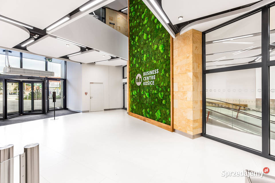 Kamień dekoracyjny ozdobny elewacyjny do salonu łódzkie Wielgomłyny