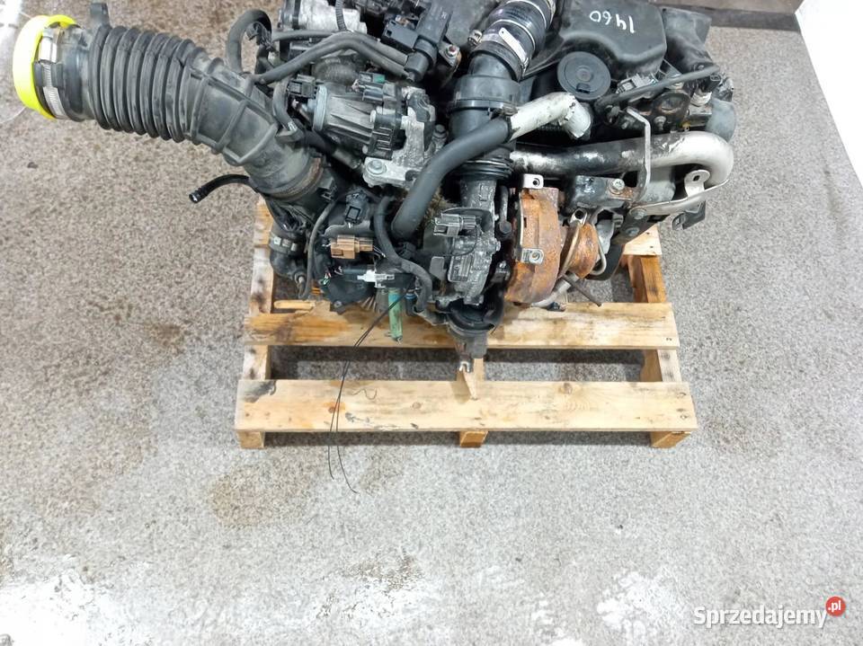 SILNIK KOMPLETNY DIESEL K9KF648 15 DCI Renault Silniki kompletne Silniki i osprzęt sprzedam