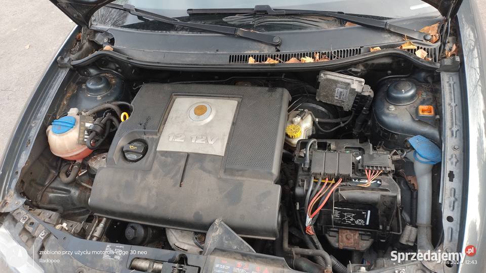 Seat Ibiza 12 2006 r SprowadzonyZarejestrowany Rok produkcji 2006 Chełm