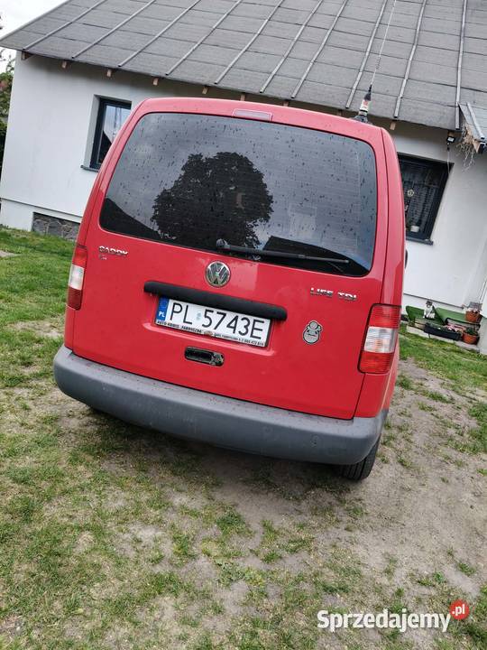 Volkswagen Caddy 19 TDI 2006r bez wkładów 1900cm3 wielkopolskie Olszewo sprzedam