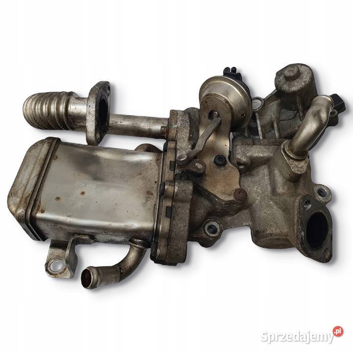 CHŁODNICA SPALIN Maxus V80 25 D oryginał Chełm