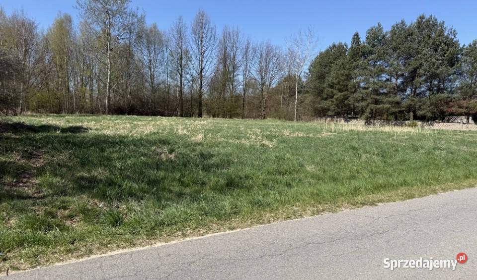 Działka budowlana Poczesna Kolonia Poczesna sprzedam