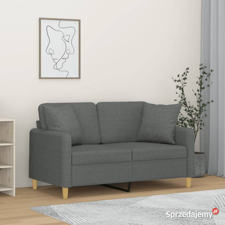 2osobowa sofa z poduszkami ciemnoszara 120