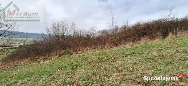 Grunt Łęki Strzyżowskie 1403m2 budowlana sprzedam