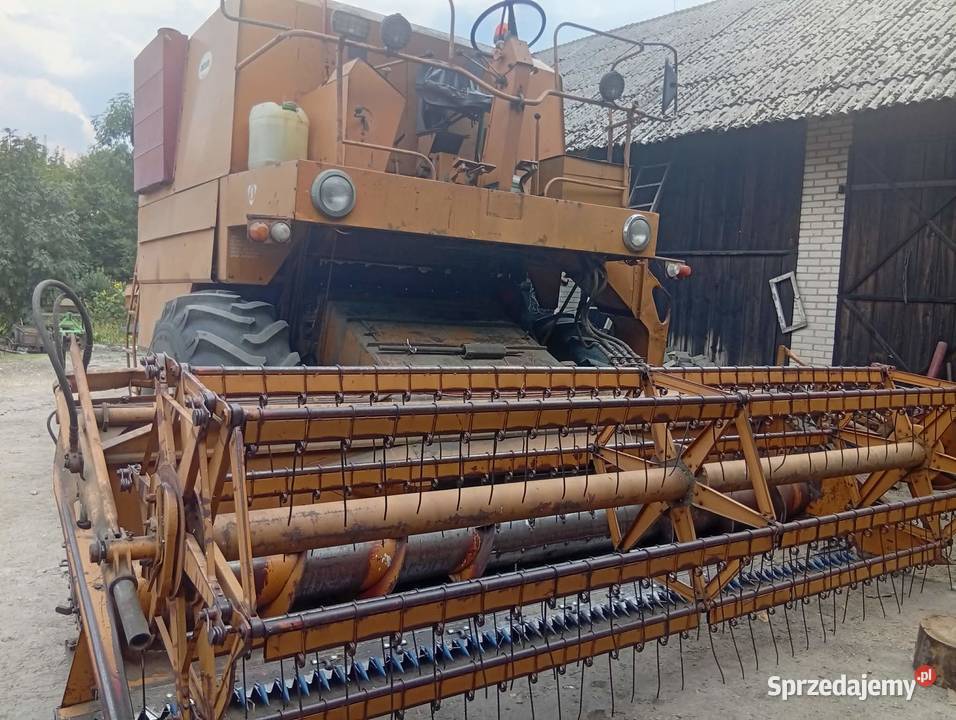 Sprzedam bizona lubelskie Siennica Różana