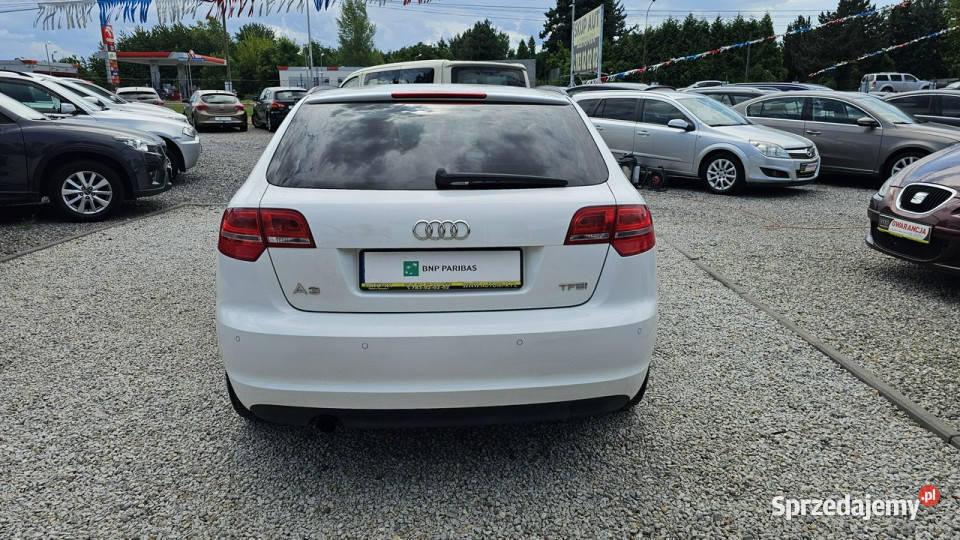 Audi A3 Oszczędny 12 Benzyna Przebieg 198 A3 dolnośląskie Świdnica