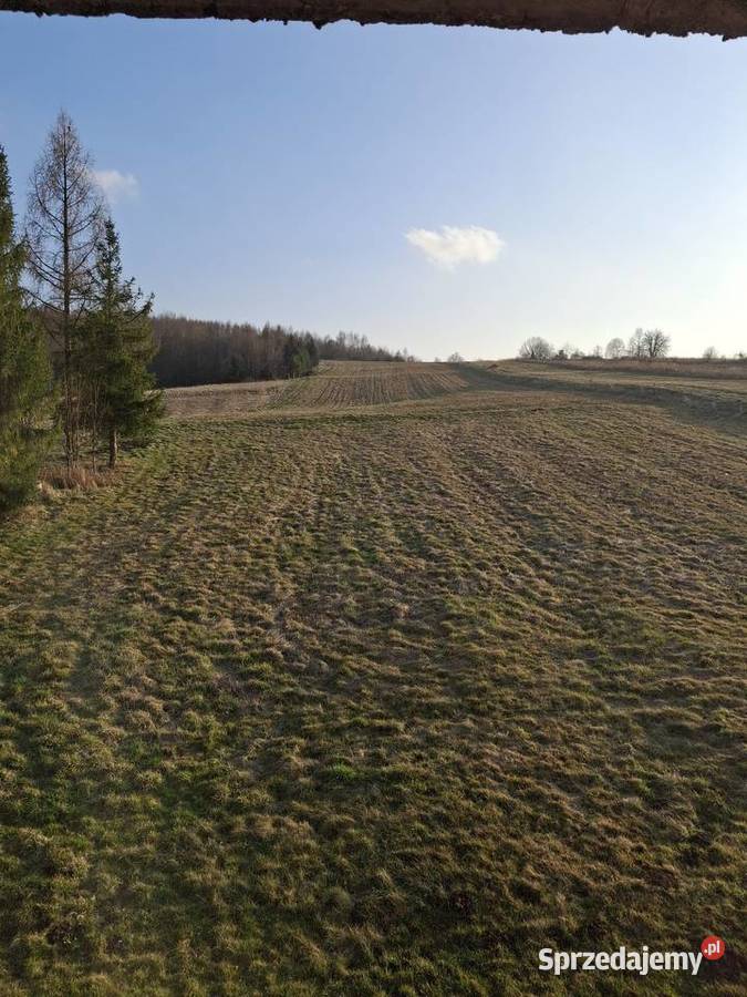 Działka budowlana rolno budowlana z lasem 14zł/m2 Bochnia