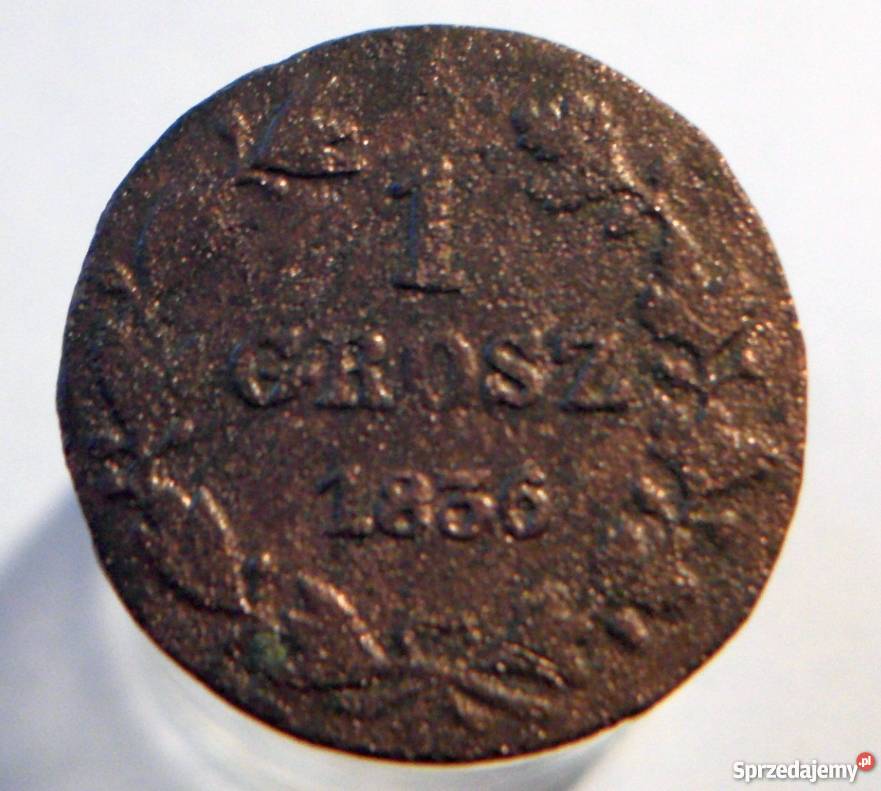 SAP 1 Grosz 1836 piękny Kraków