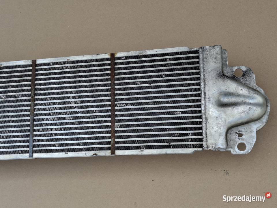 VW TRANSPORTER T5 T5 LIFT T6 INTERCOOLER dostawcze Bieleń
