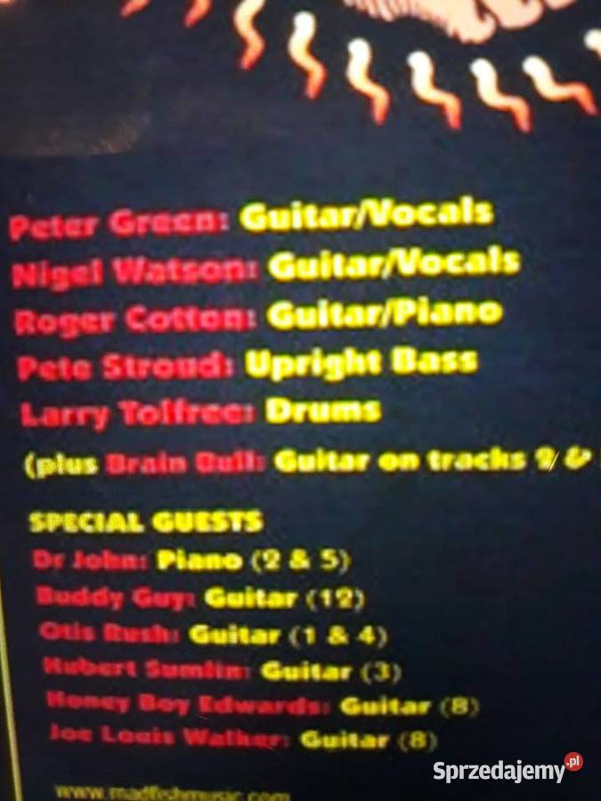 Legenda blues rocka PETER GREEN Hot Foot Powder Rzeszów