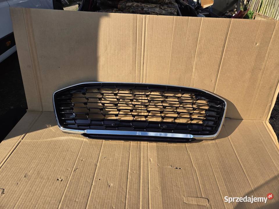Grill Atrapa chłodnicy Ford Puma 2456978 Części samochodowe