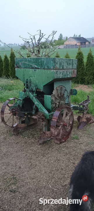 Sadzarka do ziemniaków podlaskie sprzedam