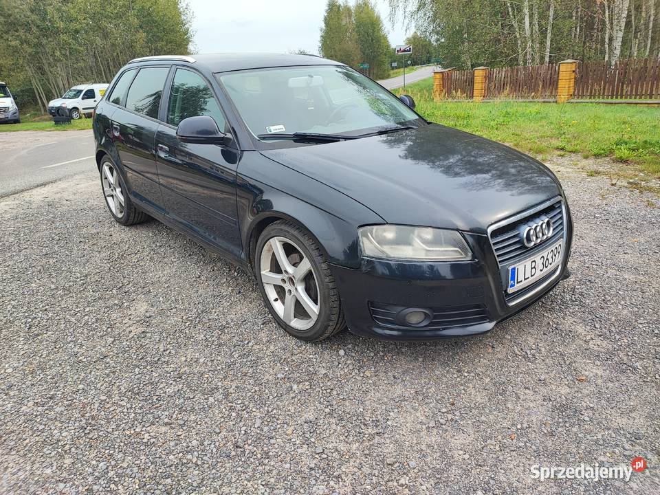 Audi A3 8P lift 19 TDI Lubartów