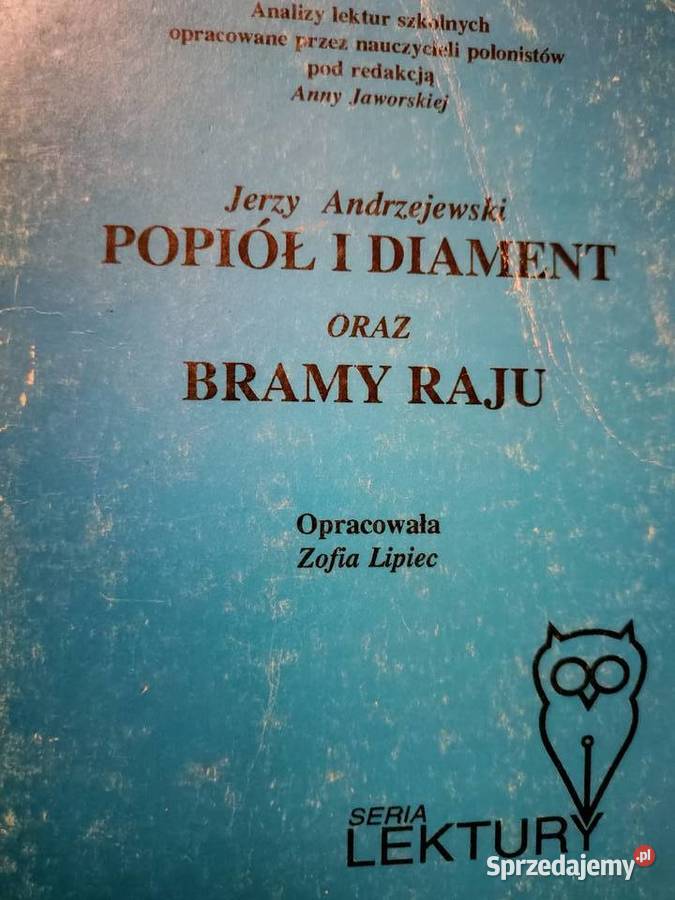 Popiół i diament Bramy raju analiz literatury Rok wydania 1994 Książki naukowe i popularnonaukowe Warszawa