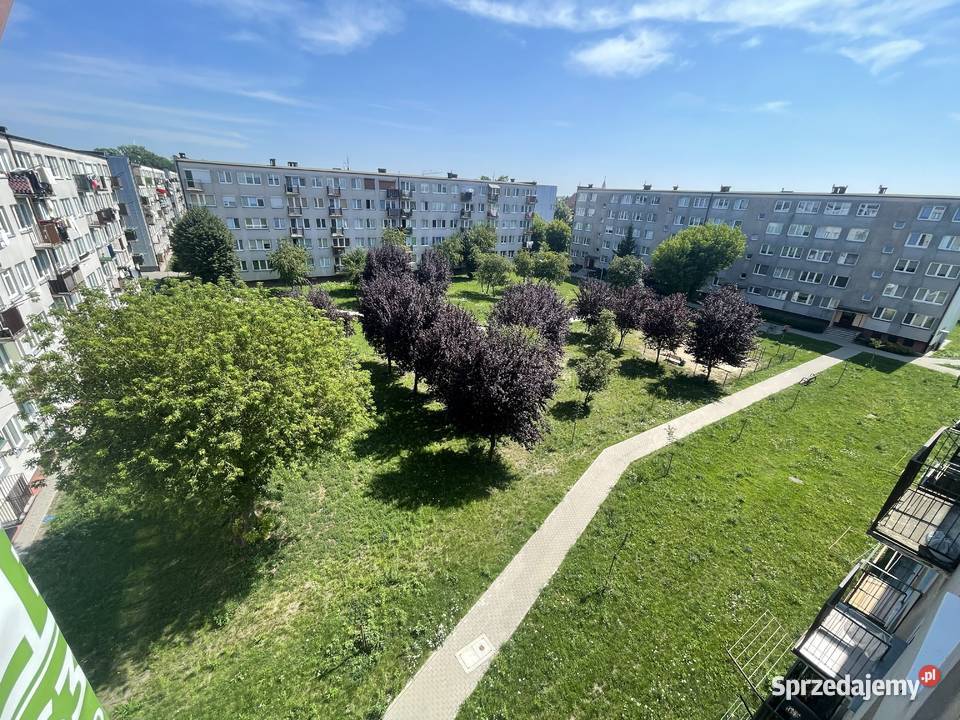 3pokojowe mieszkanie z balkonem w sercu miasta Koło
