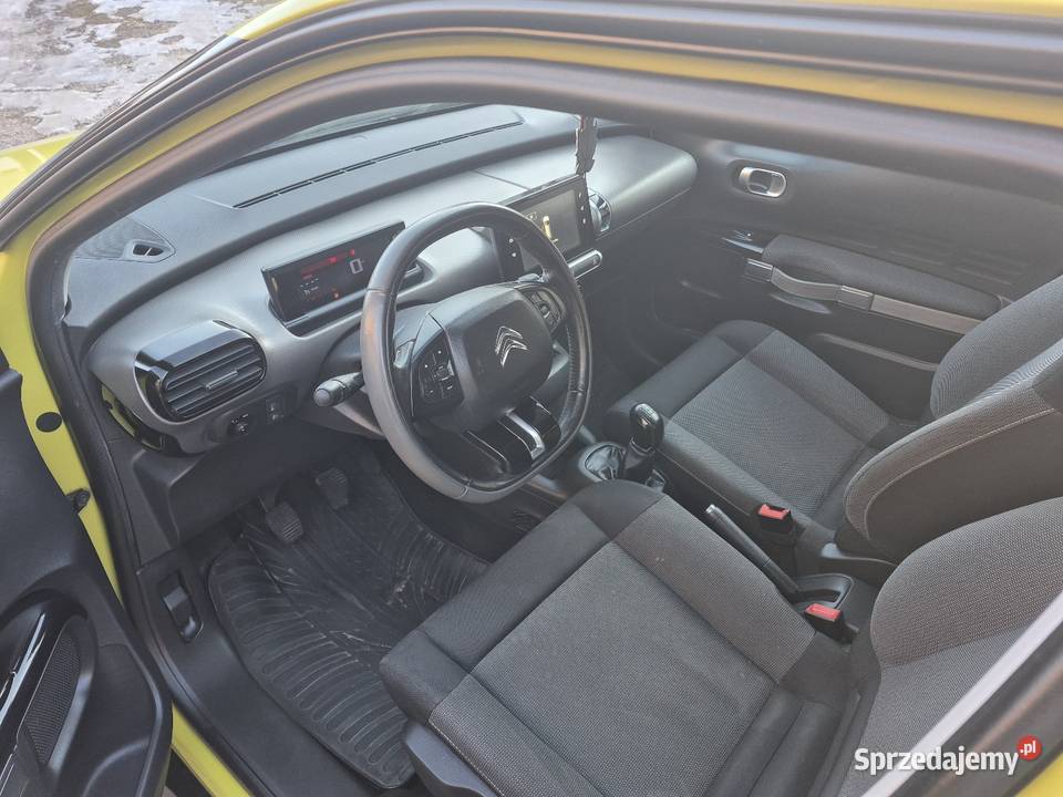 C4 cactus Wałbrzych