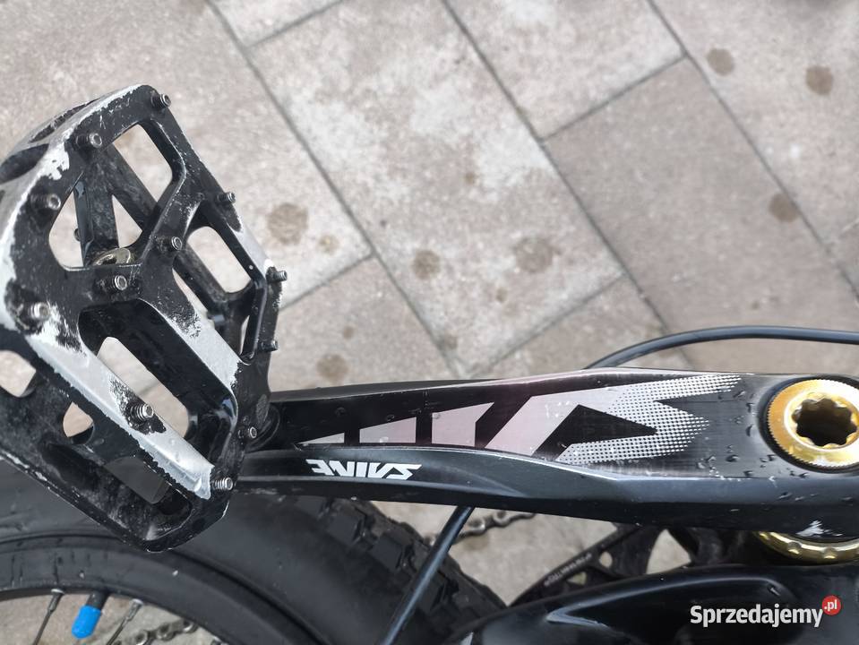 Rower DH specialized big hit 2 Chojnów sprzedam