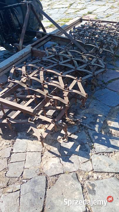 Brona brony zebowe Tczewskie Łąki