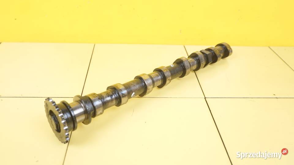 NSIGNIA ANTARA ZAFIRA 20 CDTI 16r 170 B20DTH Rozrząd Suków