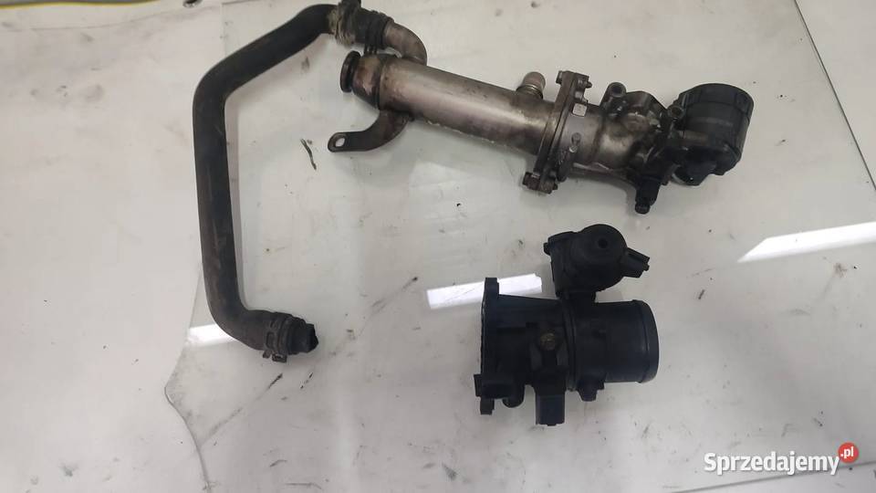 VOLVO V50 20 D ZAWÓR EGR CHŁODNICA SPALIN Recyrkulacja spalin EGR Włoszczowa