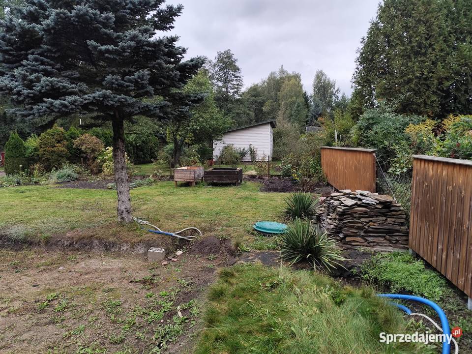 Sprzedam działkę ROD Przypki