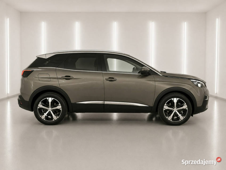 Peugeot 3008 16 Żabno
