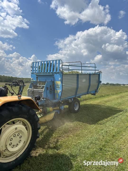 Ścinacz Zielonek zamet t 635 Wąsosze