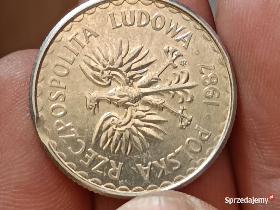 Sprzedam monete 1 zloty 1987 odkroj blachy nnnn Chełm