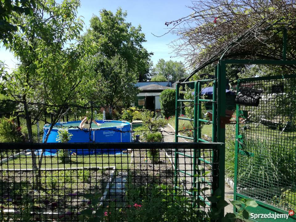 Ogródek działkowy ROD Jedność Katowice