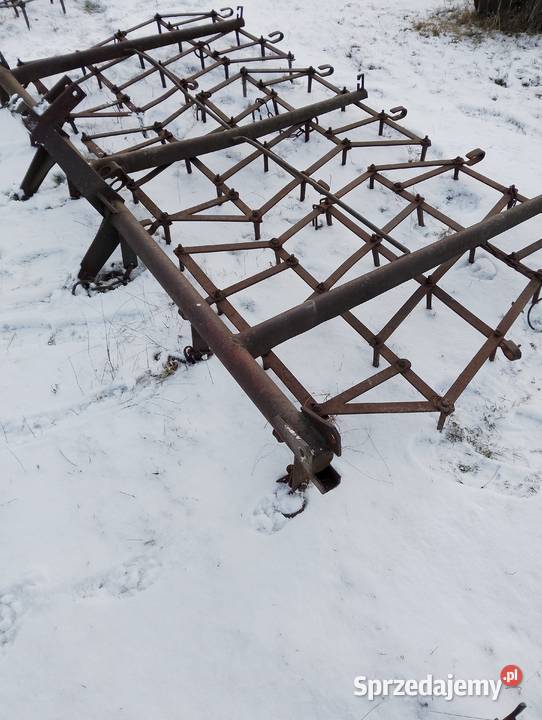 Brony 3 polowe Grudziądz Miedźno