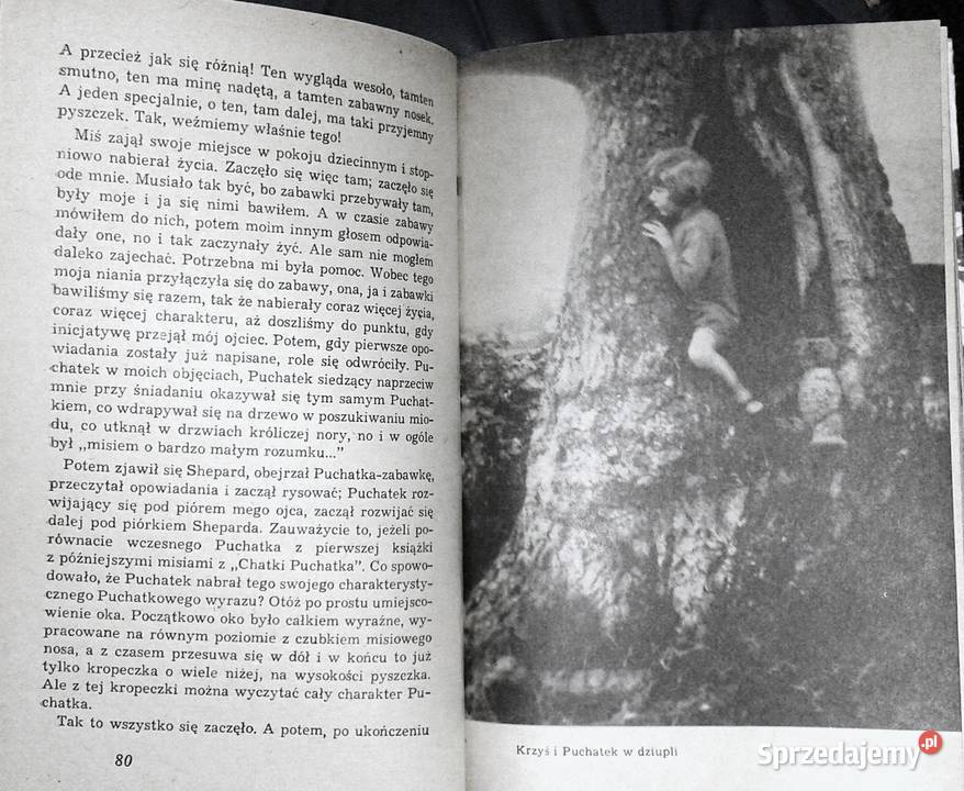 Zaczarowane miejsca Christopher Milne Chełm