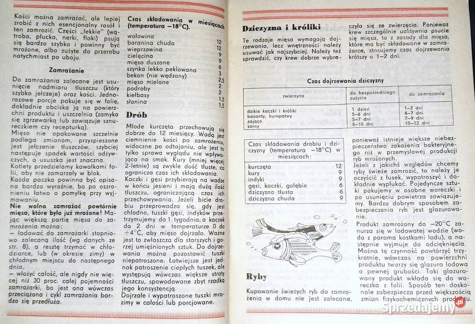 Mrożonkowe ABC Ludmiła Grudowa miękka lubelskie Chełm