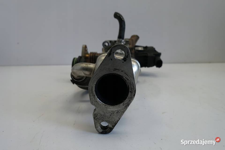 Fiat Ducato III 23 JTD CHŁODNICA SPALIN EGR org Części samochodowe Rudka