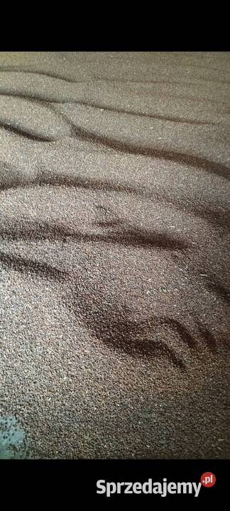 Rzodkiew oleista Pozostałe Rolnictwo