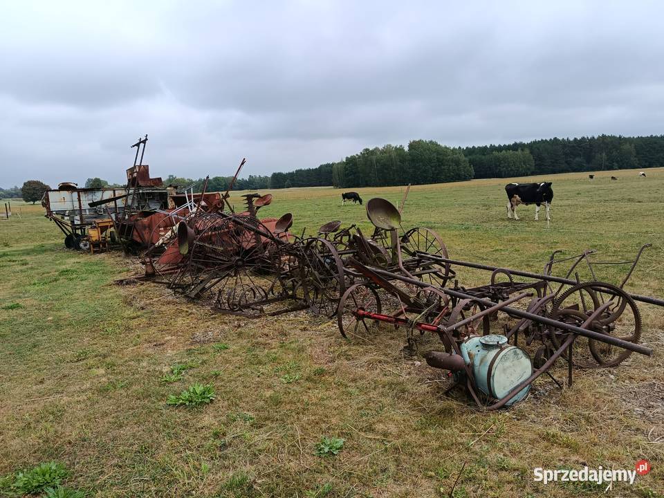 Zabytkowe maszyny i urządzenia rolne Grabów nad Pilicą sprzedam
