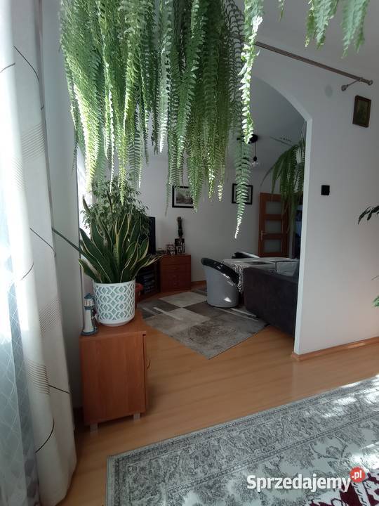 Mieszkanie w centrum miasta 3 piętra i więcej lubelskie Chełm sprzedam