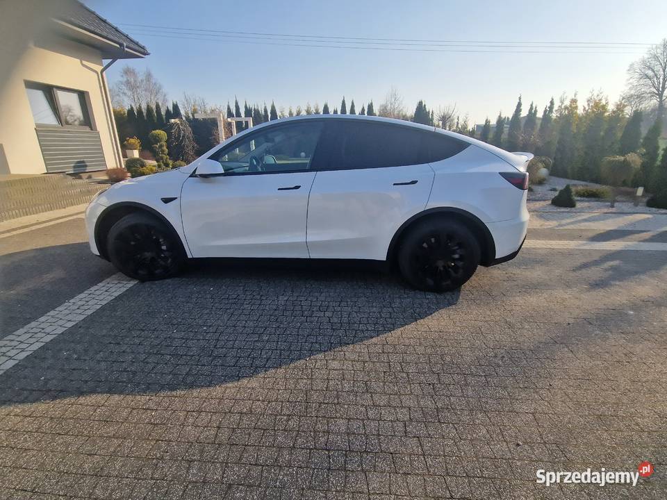 Tesla Y Motoryzacja Lublin