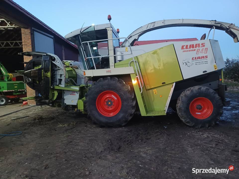 Sieczkarnia Claas jaguar 840 Gniotownik łódzkie Kutno