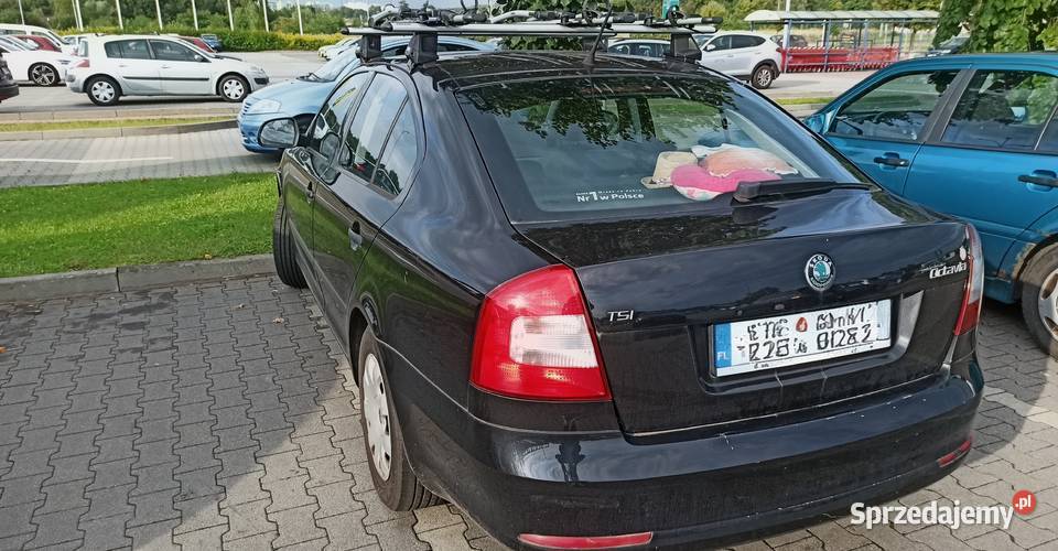 Skoda Octavia Gliwice