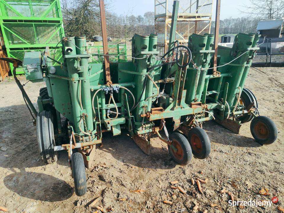 Sadzarka 4rzędowa CRAMER Hydrauliczna Świeżo Gorzyce Wielkie