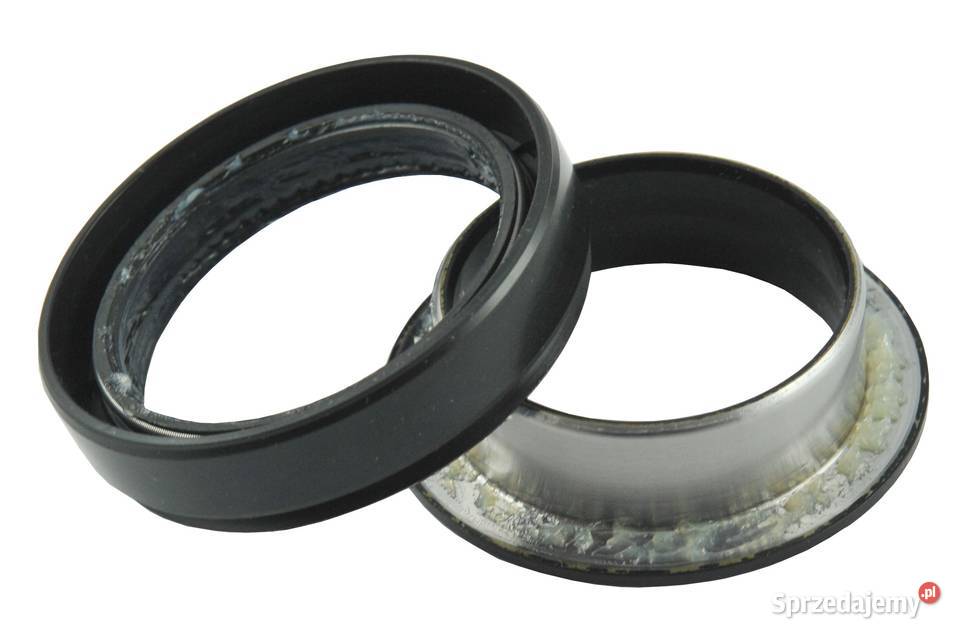 Uszczelniacz kasetowy AQ2865E 50x72x19 mm Iseki Tajęcina