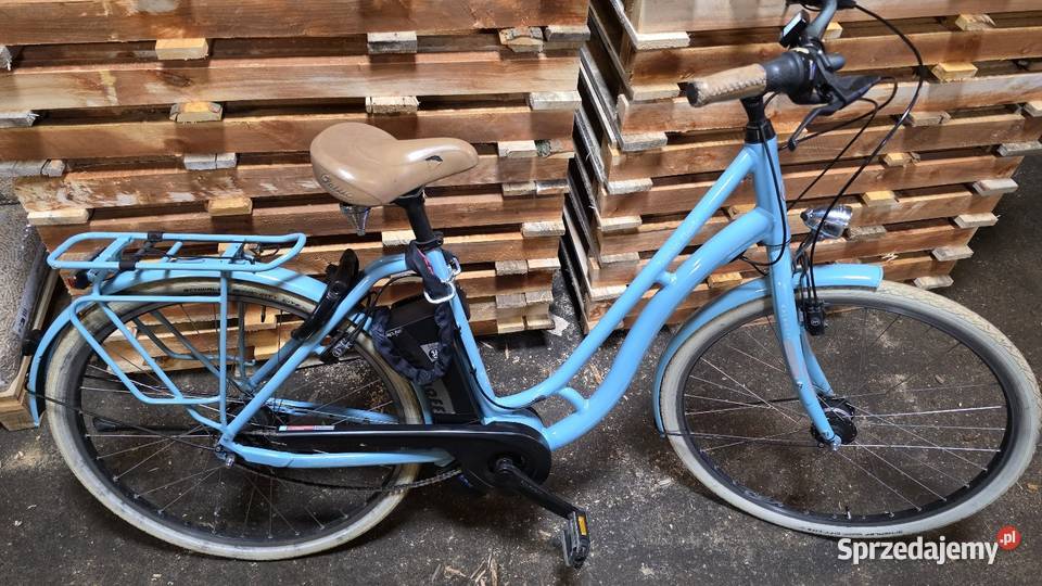 Rower elektryczny Kalkhoff serwisie i Osiecznica