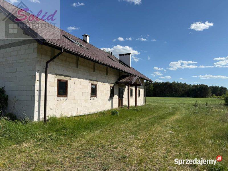 Siedlisko zatopione w zieleni drzew i 12 ha do zamieszkania Gostynin