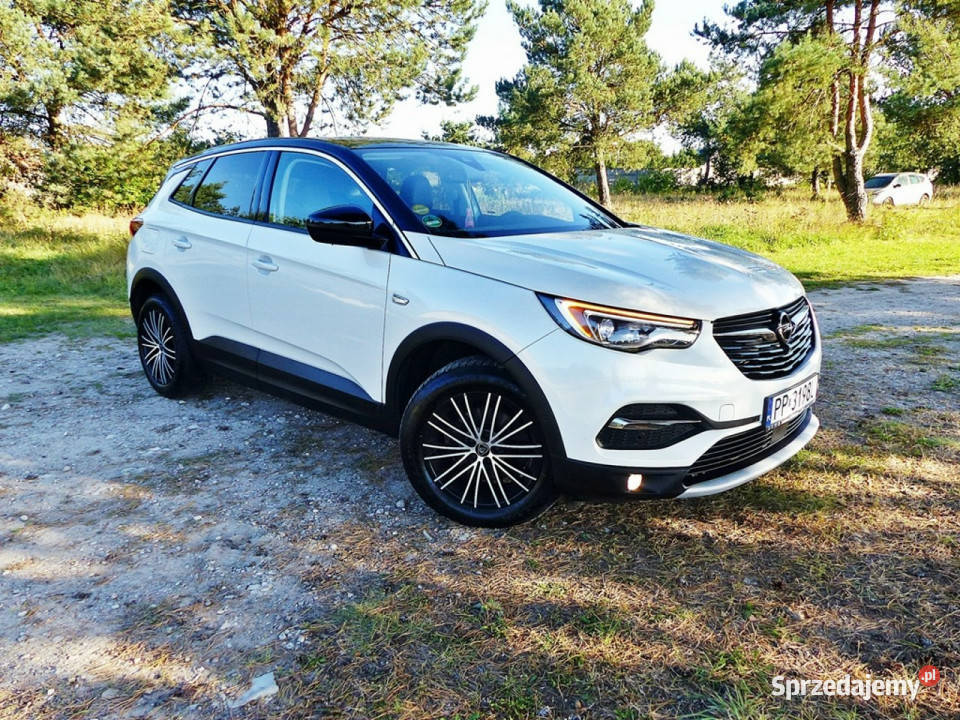 Opel Grandland X 15 serwisowany w ASO Piła