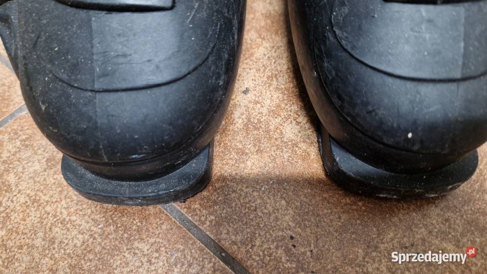 Buty narciarskie Dalbello Avanti truflex 90120 Sporty zimowe