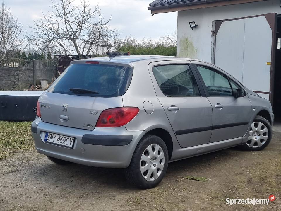 Peugeot 307 Dębno