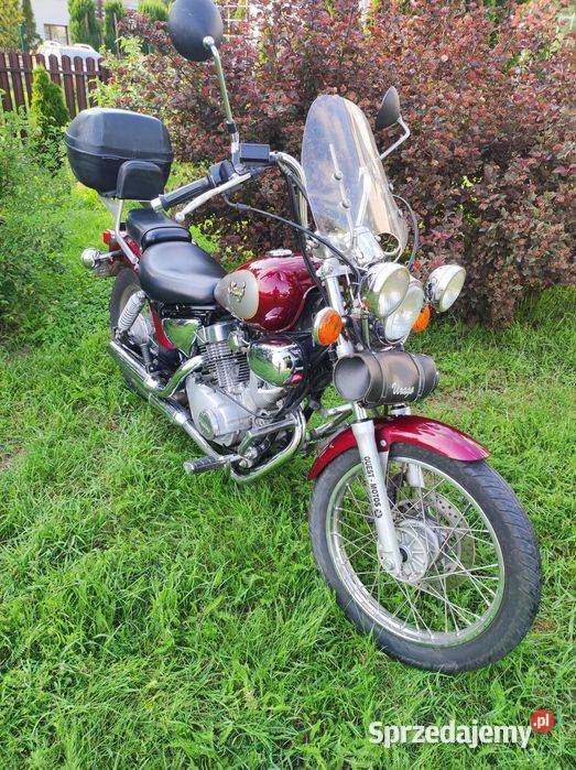Yamaha Virago 125 Zarzecze