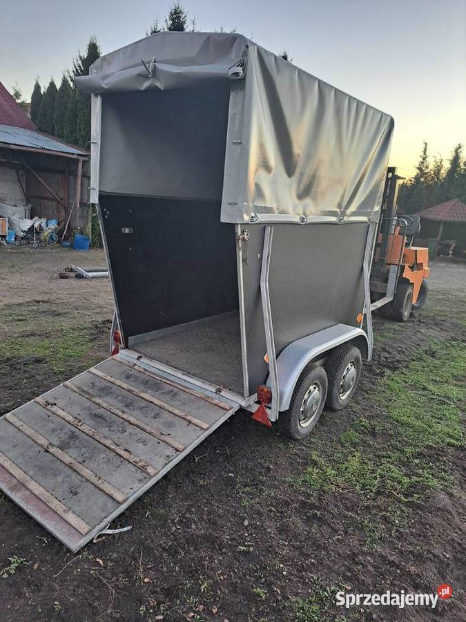 Przyczepka przyczepa do przewozu zwierząt koni