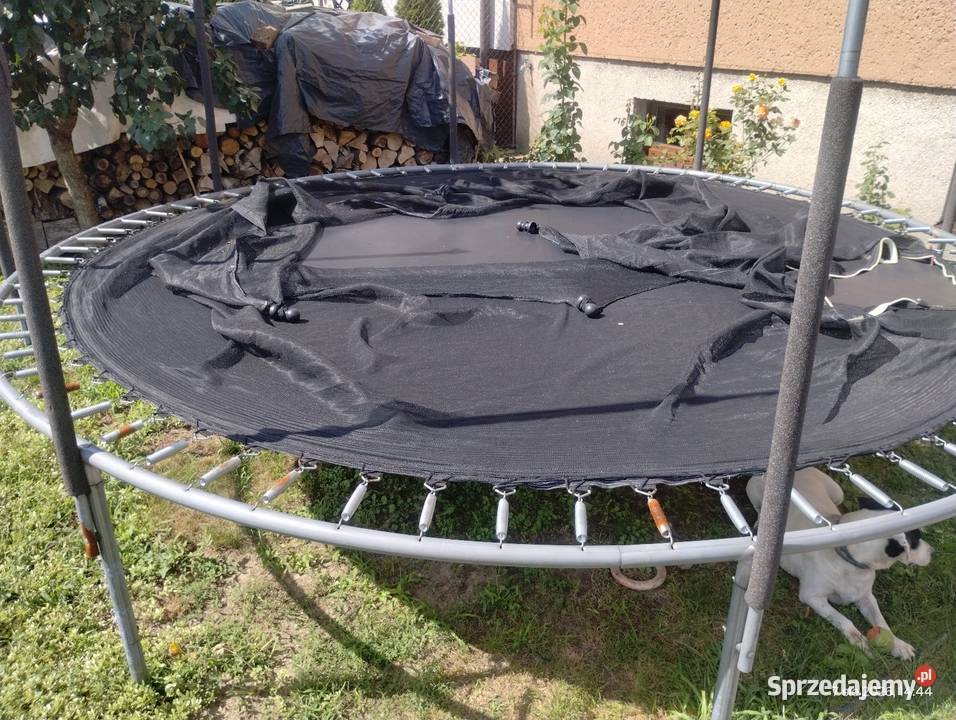 sprzedam trampolinę Mosina